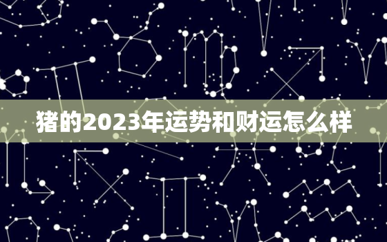 猪的2023年运势和财运怎么样，猪的2023年运势和财运怎么样呀