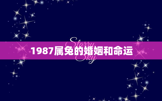 1987属兔的婚姻和命运，1987属兔的婚姻和命运如何