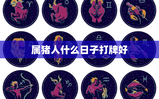 属猪人什么日子打牌好，2020属猪什么时间打麻将最好