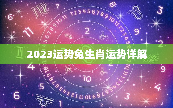 2023运势兔生肖运势详解，2023运势兔生肖运势详解