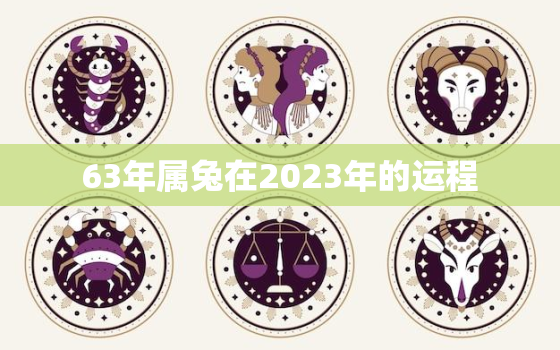 63年属兔在2023年的运程，1963年属兔人2023年运势女命