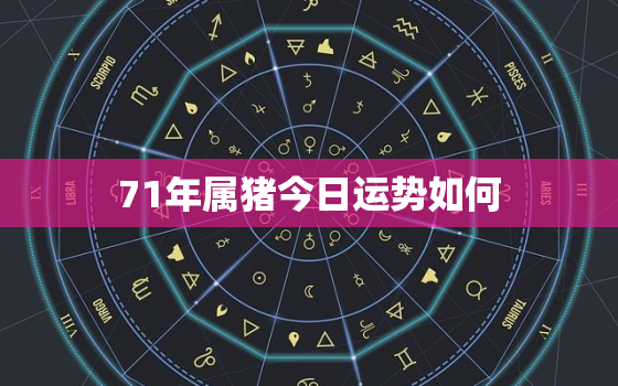 71年属猪今日运势如何，71年属猪今日运程每日运势