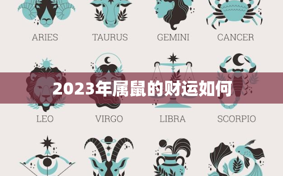 2023年属鼠的财运如何，鼠2023财运大爆发的一年