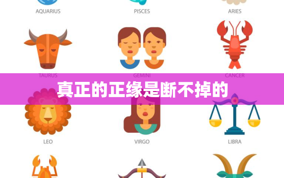 真正的正缘是断不掉的，真正的正缘是断不掉的 兜兜