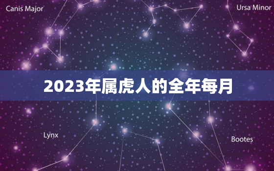 2023年属虎人的全年每月，2023年属虎人的全年每月运势易安居网