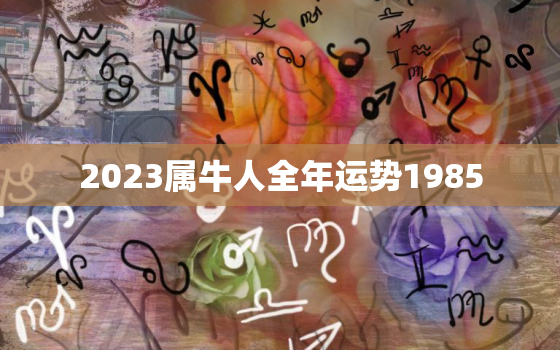 2023属牛人全年运势1985，2023属牛人全年运势1985男