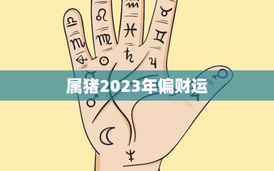 属猪2023年偏财运，属猪2023年运势及运程 2023年属猪人的全年每月运势