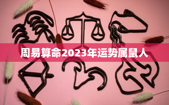 周易算命2023年运势属鼠人，2023年属鼠的全年运势免费