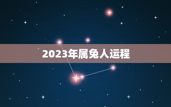 2023年属兔人运程，2023年属兔人运程每月运程