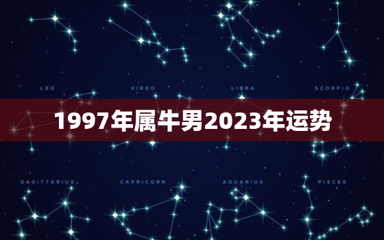 1997年属牛男2023年运势，73年属牛50岁2023年的运势