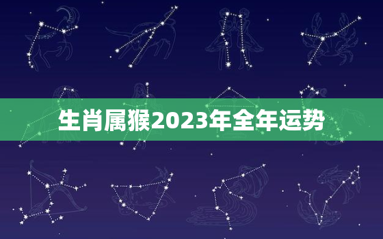 生肖属猴2023年全年运势，属猴人2023年运势及财运