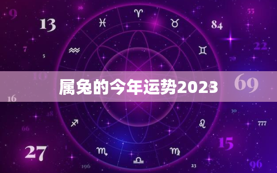 属兔的今年运势2023，属兔的今年运势如何