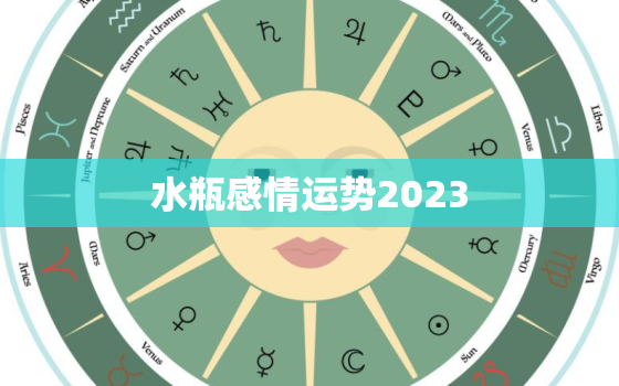 水瓶感情运势2023，二o二一年水瓶座感情运势