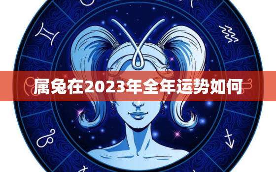 属兔在2023年全年运势如何，属兔2023年的全年运势