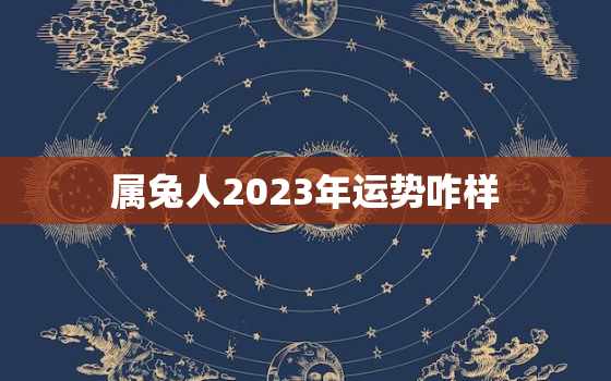 属兔人2023年运势咋样，属兔的2023年运势怎么样