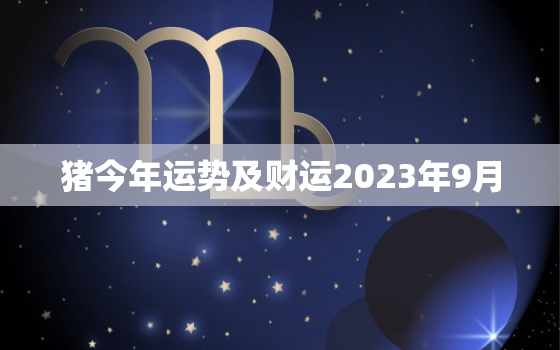 猪今年运势及财运2023年9月，猪今年运势及财运2023年9月运势如何