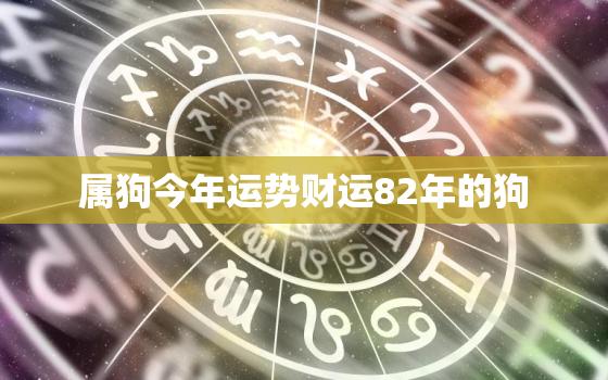 属狗今年运势财运82年的狗，82年属狗人今年运势2023年每月运势