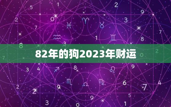 82年的狗2023年财运，82年属狗2023年的运程