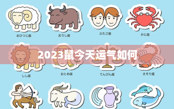 2023鼠今天运气如何，鼠在2023年的运势