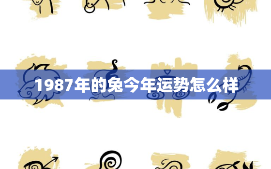 1987年的兔今年运势怎么样，1987年兔子今年的运势