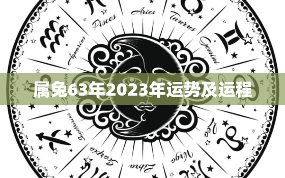 属兔63年2023年运势及运程，1963年属兔在2023