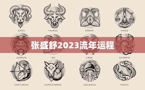 张盛舒2023流年运程，张盛舒2021