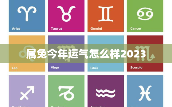 属兔今年运气怎么样2023，属兔今年运气怎么样2023年运势