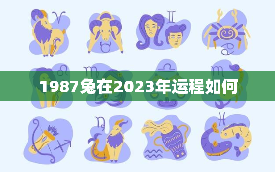 1987兔在2023年运程如何，1987年兔2023年运势如何