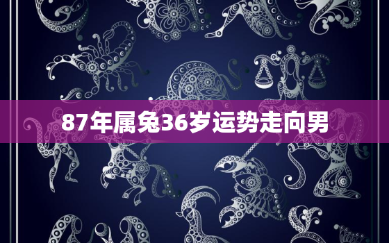 87年属兔36岁运势走向男，87年兔36岁的时候转运吗