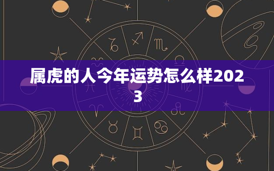 属虎的人今年运势怎么样2023，74年属虎49和50岁命运