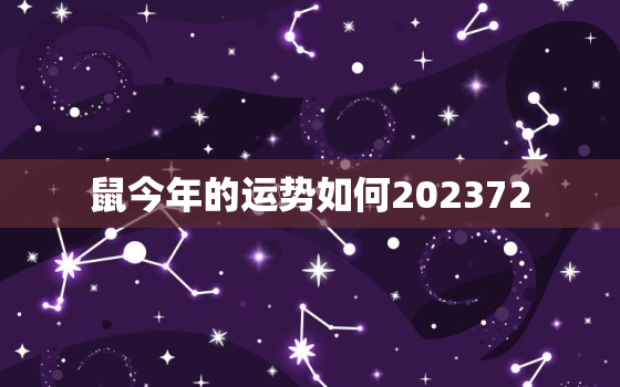 鼠今年的运势如何202372，鼠今年的运势如何2023事业怎样