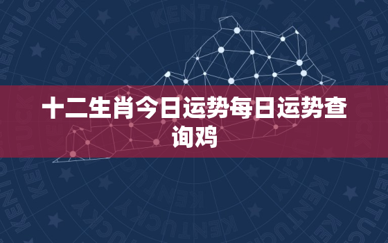 十二生肖今日运势每日运势查询鸡，生肖鸡今日运势神巴巴