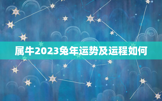 属牛2023兔年运势及运程如何，属牛2023年运势怎么样