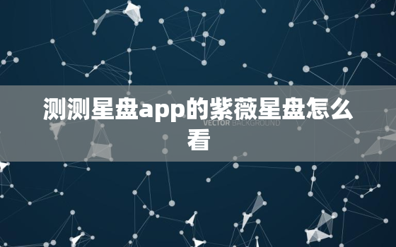 测测星盘app的紫薇星盘怎么看，测试自己紫薇星盘