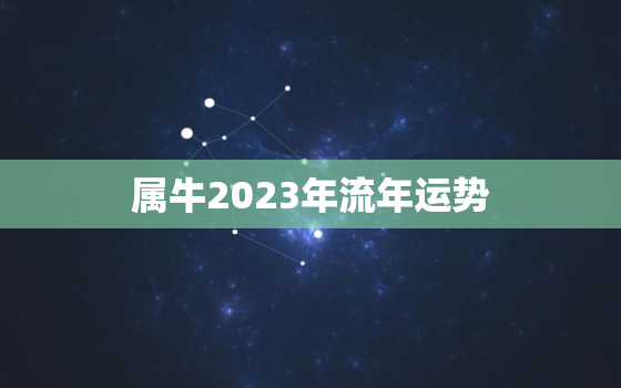 属牛2023年流年运势，属牛2023年运程