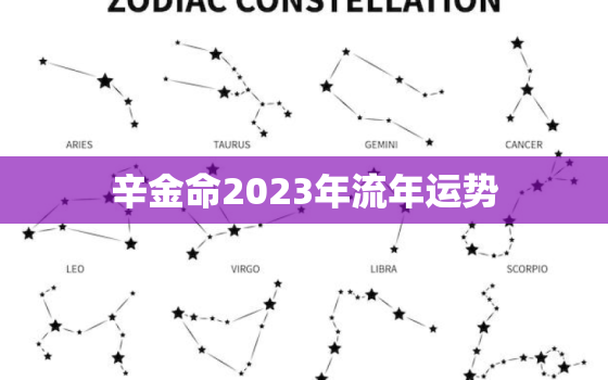 辛金命2023年流年运势，辛金命2023年