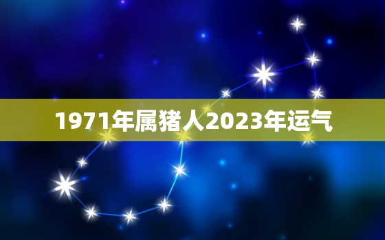 1971年属猪人2023年运气，1971年属猪人2023年运势及运程