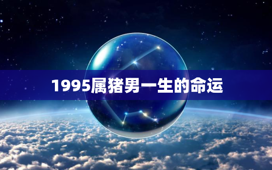 1995属猪男一生的命运，1995属猪男一生的命运和婚姻