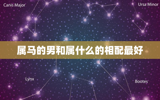 属马的男和属什么的相配最好，属马男和什么属相最婚配