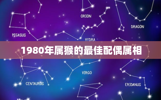 1980年属猴的最佳配偶属相，1980年属猴的婚配属相