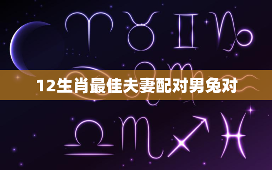 12生肖最佳夫妻配对男兔对，男生肖兔和什么生肖最配