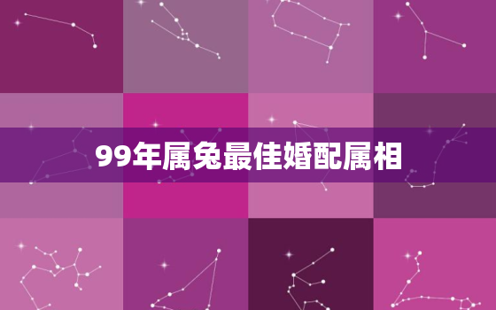 99年属兔最佳婚配属相，99年属兔最佳婚配属相龙男好吗