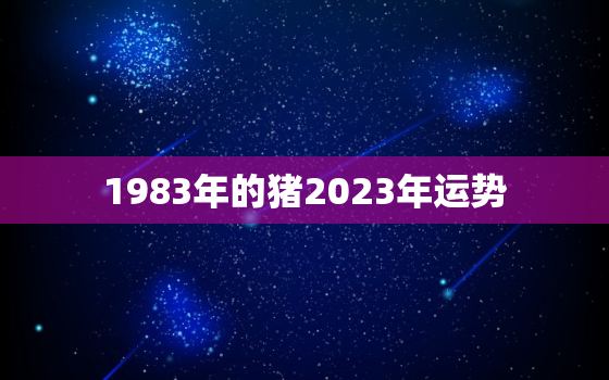 1983年的猪2023年运势，1984年的鼠2023年的运势