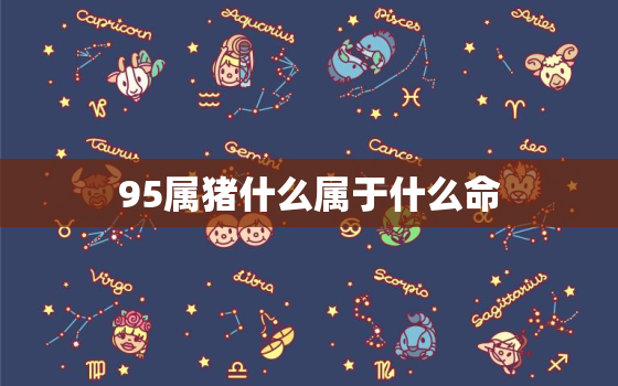 95属猪什么属于什么命，95的猪是什么属性