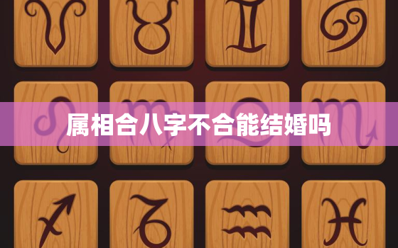 属相合八字不合能结婚吗，属相不和但是八字合