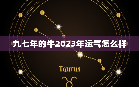 九七年的牛2023年运气怎么样，九七年的牛2023年运气怎么样呢