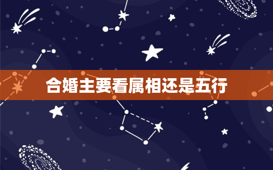 合婚主要看属相还是五行，合婚主要看属相还是五行属相