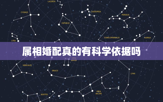 属相婚配真的有科学依据吗，属相婚配有没有科学依据啊