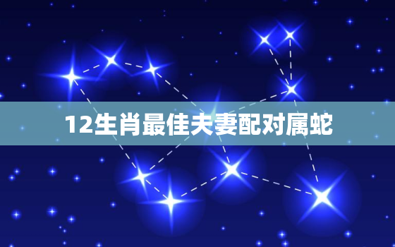 12生肖最佳夫妻配对属蛇，十二生肖属蛇婚配表