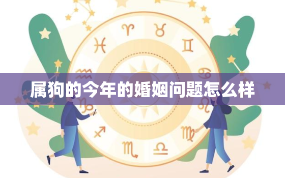 属狗的今年的婚姻问题怎么样，属狗的今年的婚姻问题怎么样了